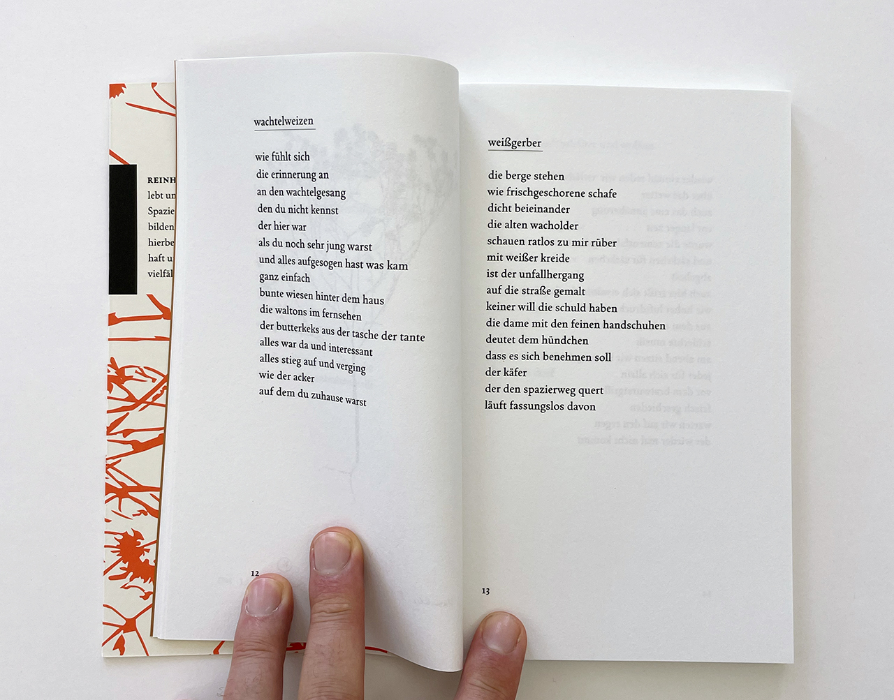 Buch: Buch: zwischen hochbehälter und wolken